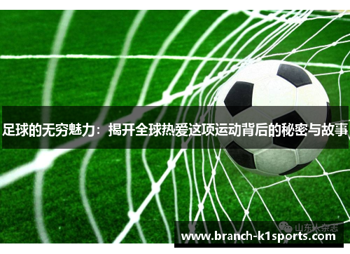 足球的无穷魅力：揭开全球热爱这项运动背后的秘密与故事