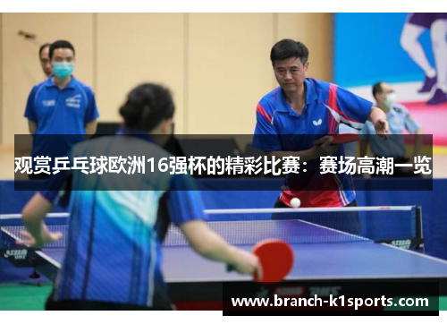 观赏乒乓球欧洲16强杯的精彩比赛：赛场高潮一览