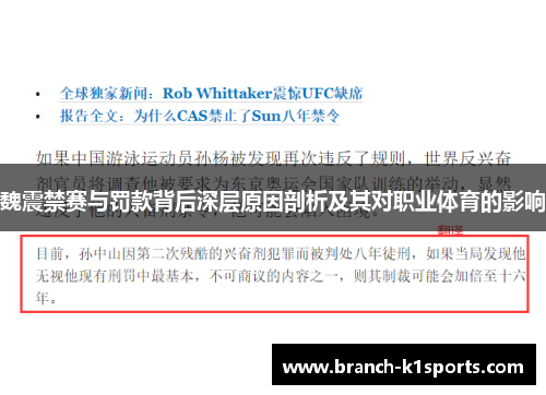 魏震禁赛与罚款背后深层原因剖析及其对职业体育的影响
