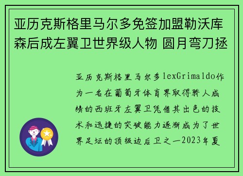 亚历克斯格里马尔多免签加盟勒沃库森后成左翼卫世界级人物 圆月弯刀拯救球队 亚历克斯格里马尔多免签加盟勒沃库森后成左翼卫世界级人物 圆月弯刀拯救球队