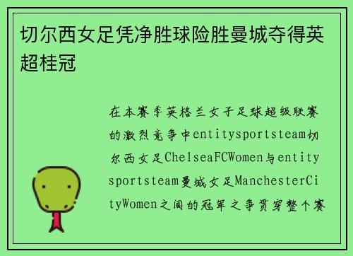 切尔西女足凭净胜球险胜曼城夺得英超桂冠